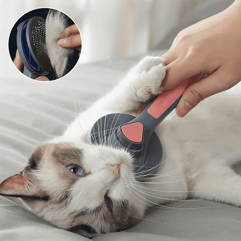 Escova 2 em 1 para Pelos e Massagem - PetCare Pro